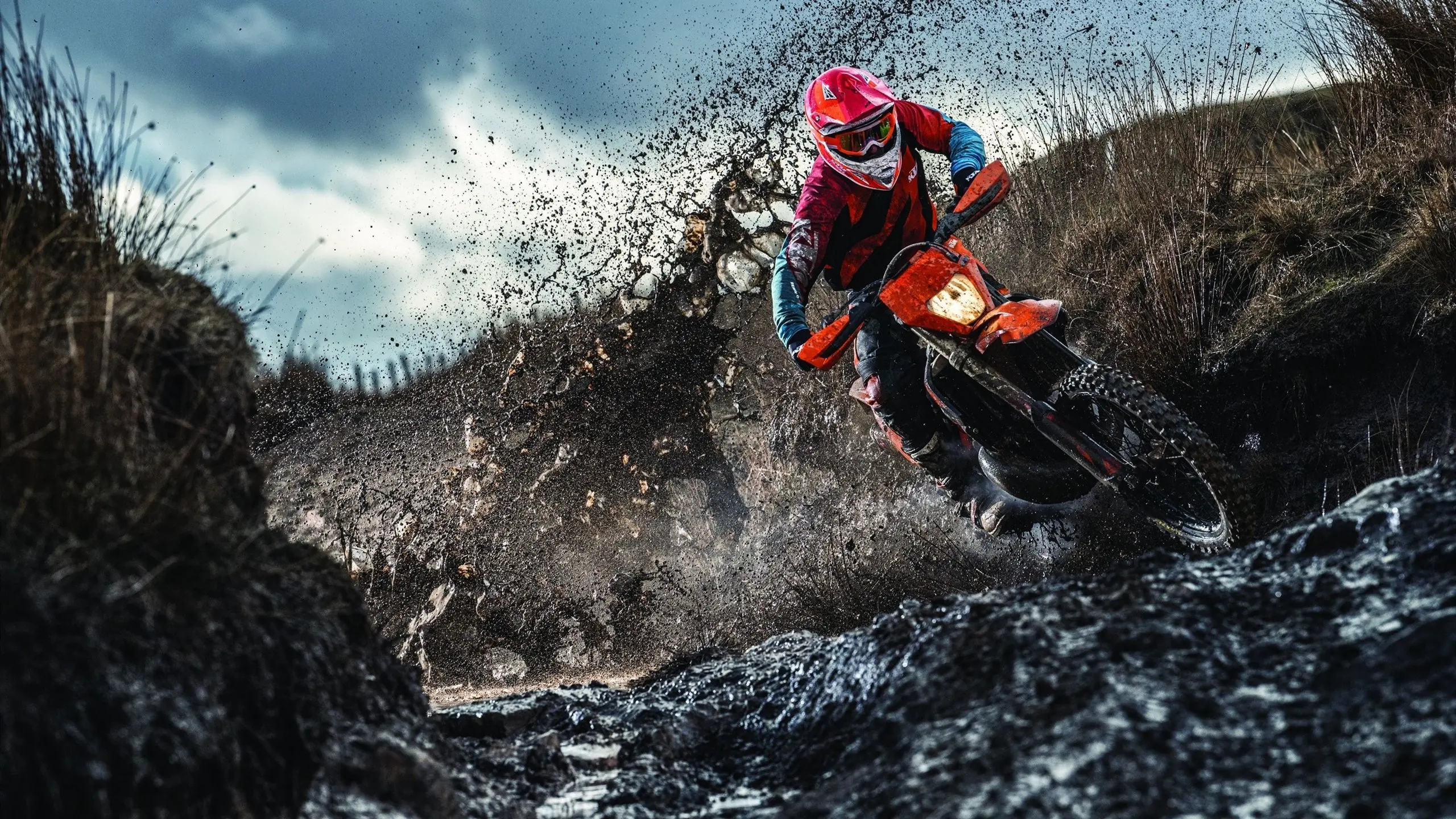 野外森林越野跑挑战赛，探索未知的自然秘境，户外越野挑战赛